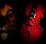 Name: another-violin-red-musical.jpg
Size: 48 Kb